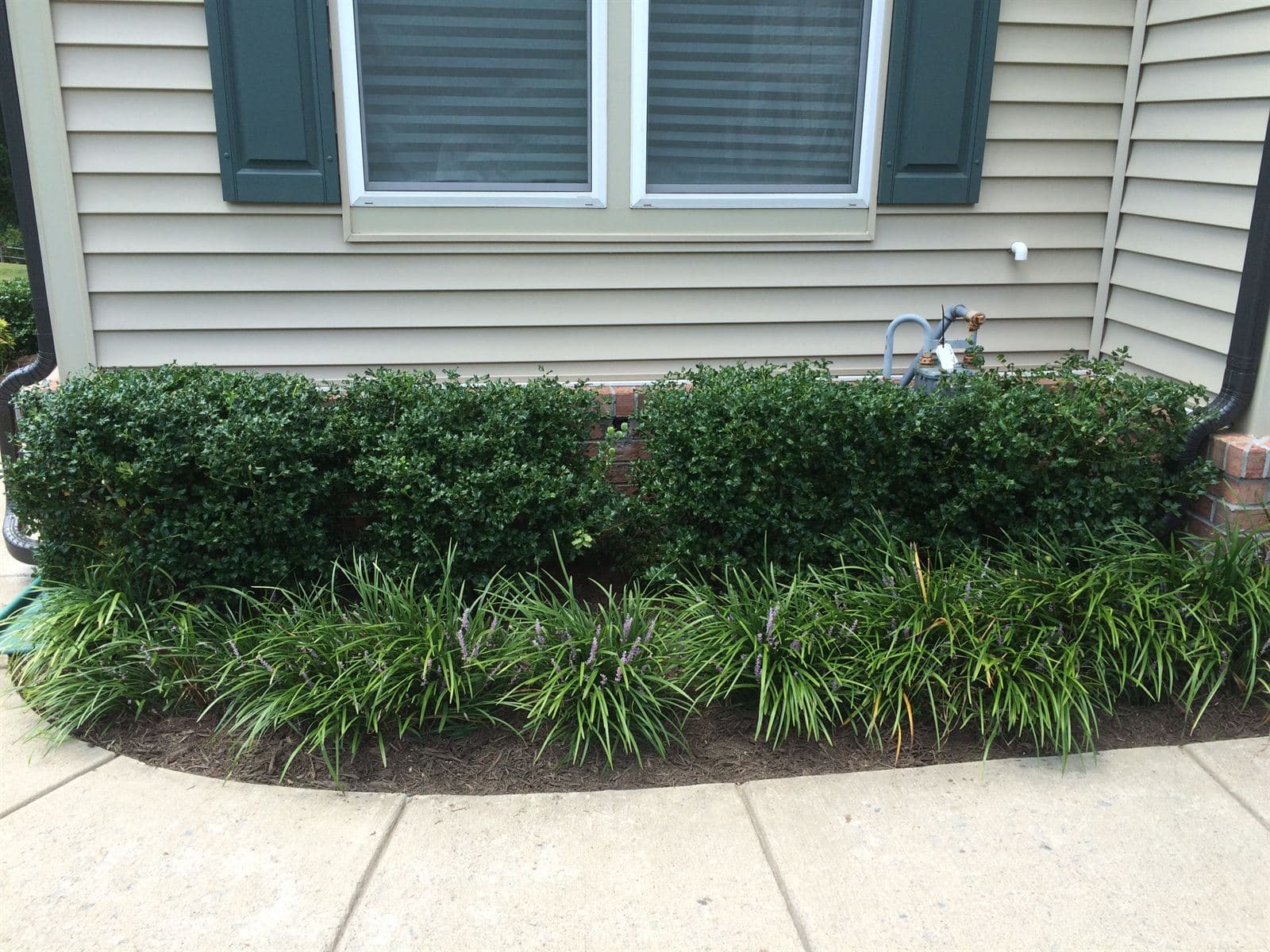 Foundation plantings and shrub beds maintained at a Northern Virginia property